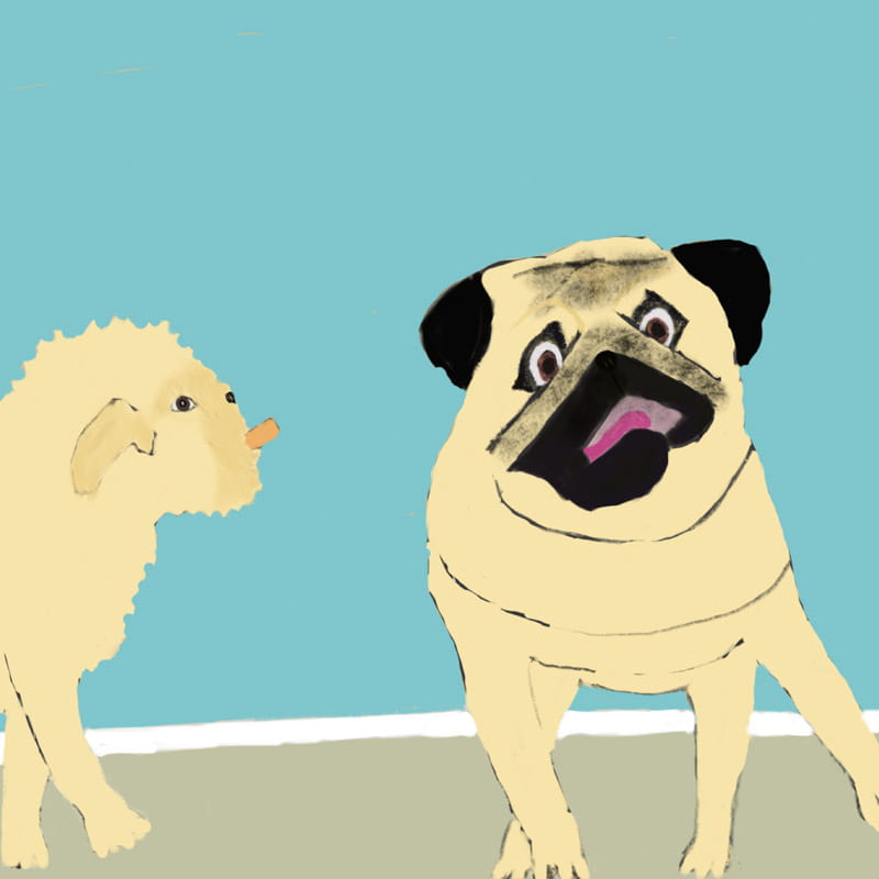 Children Books Author Illustrator New Zealand